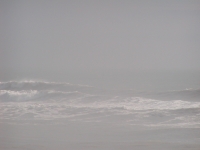 P9140066.JPG