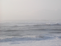 P9150007.JPG