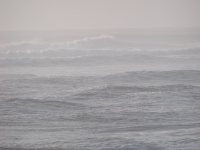 P9150008.JPG