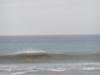 P9150157.JPG