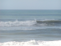 P9150163.JPG