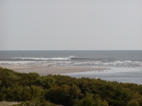 PC160032.JPG