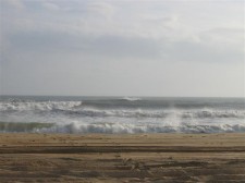 IMG_0057 .jpg