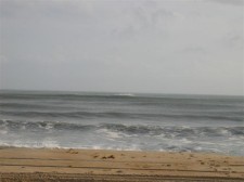 IMG_0063 .jpg