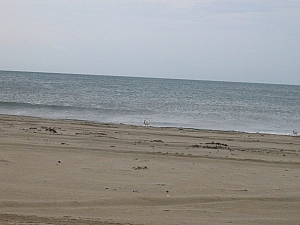 IMG_0041.JPG