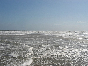 IMG_0124.JPG