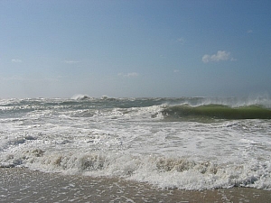 IMG_0125.JPG