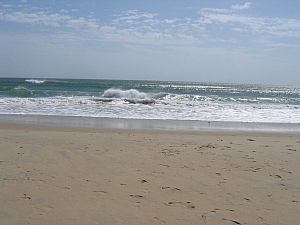 IMG_0137.JPG