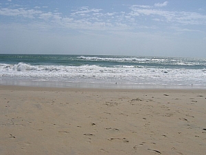 IMG_0138.JPG