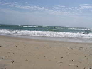 IMG_0139.JPG