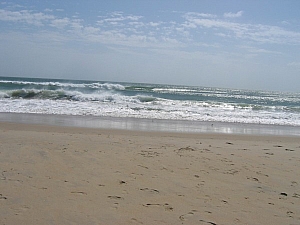 IMG_0140.JPG