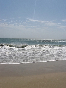 IMG_0144.JPG