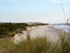 Scenic dune view to the north.  The Naval Jetties provides a much nicer setting than the Ocean City strip.