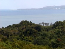 P1010069.JPG