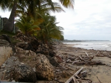 P1010073.JPG
