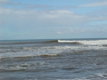 P1010074.JPG