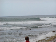 P1010083.JPG