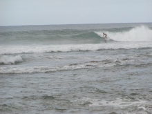 P1010084.JPG