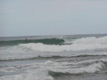 P1010085.JPG