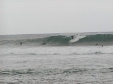 P1010087.JPG