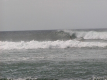 P1010091.JPG