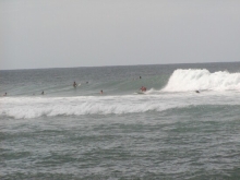 P1010093.JPG