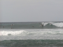 P1010094.JPG