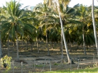 PC250001.JPG