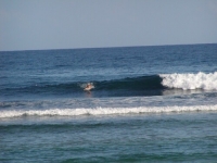 PC250031.JPG