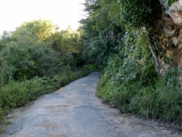 PC250034.JPG