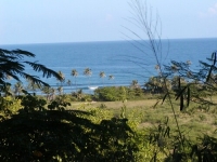 PC250037.JPG