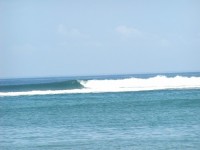 PC270016.JPG