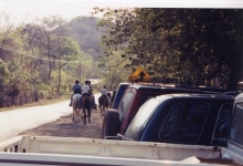 FiestaHorsesCars.jpg