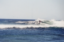 Negra_cutback.jpg