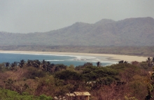 TamBayFromZipLine.jpg