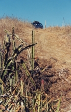 V_SR_Car_FromBeach.jpg
