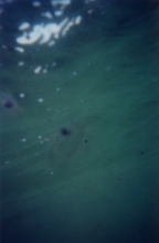 V_UnderwaterSeaThing.jpg