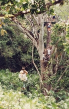 V_ZipLine.jpg