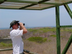 Tamarindo Bay in background