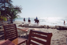 04_horse_at_tamarindo.jpg