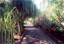 09_pool_path.jpg