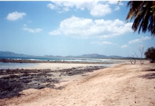 17_tamarindo_reefs.jpg