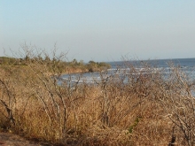 P4030103.jpg