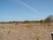 P4050114.jpg