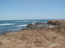 P4050130.jpg