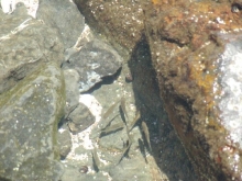 P4050136.jpg