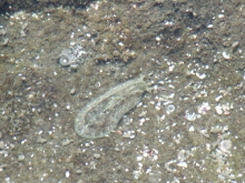 P4050137.jpg