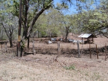 P4050157.jpg
