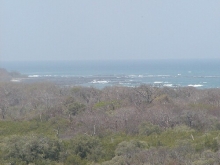 P4070217.jpg