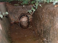 DSCF0030.JPG